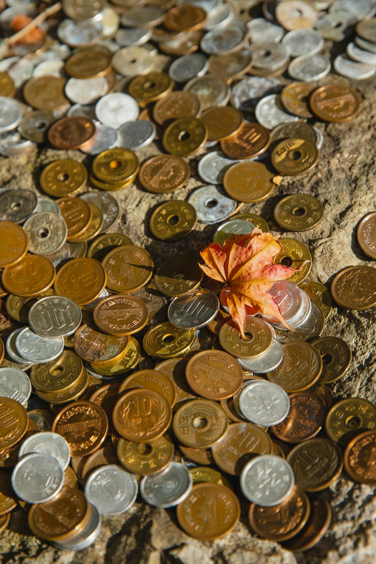 地面に散らばった日本円硬貨と紅葉のイメージ